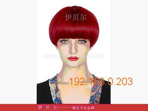 貴州外貿(mào)假發(fā)購(gòu)買(mǎi)指南 口碑廠家、價(jià)格與選購(gòu)要點(diǎn)